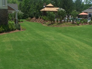 fertilize-your-lawn