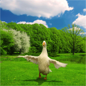 Aflac Earth Day 2015